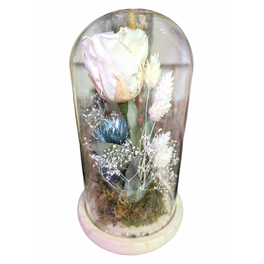 Forever Rose Cloche