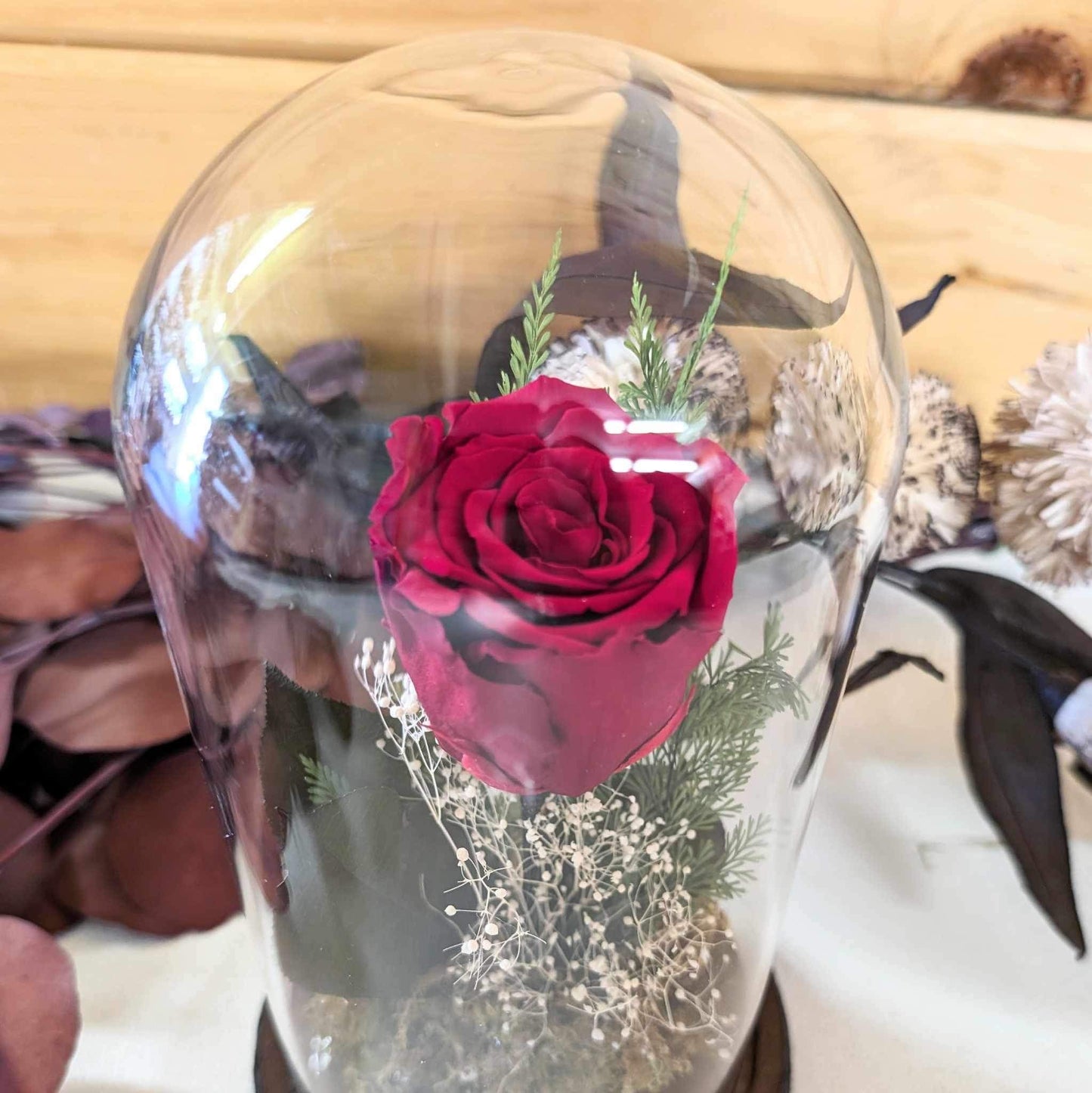 Forever Rose Cloche