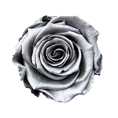 Forever Rose Cloche