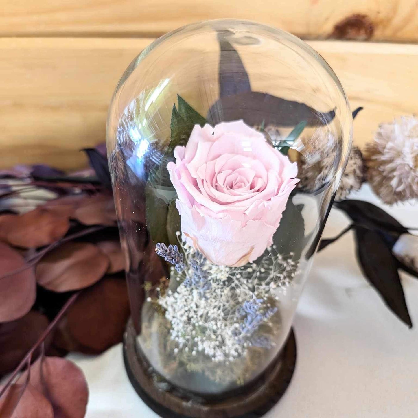 Forever Rose Cloche