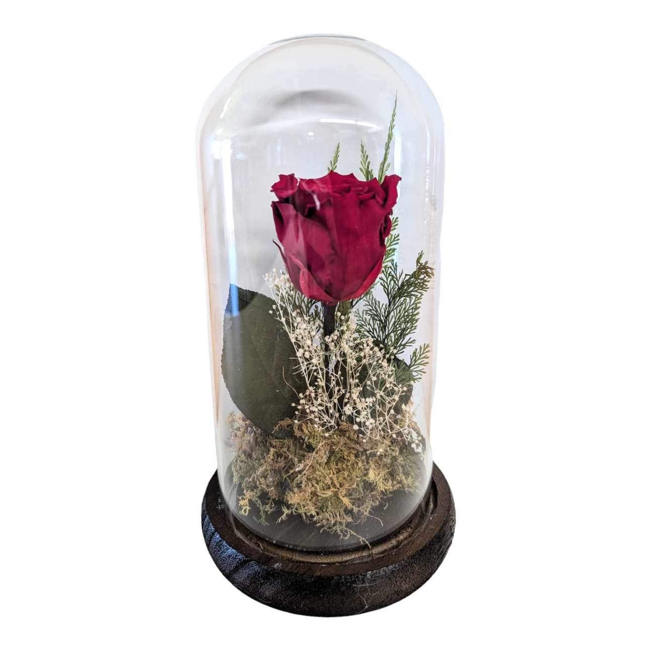 Forever Rose Cloche