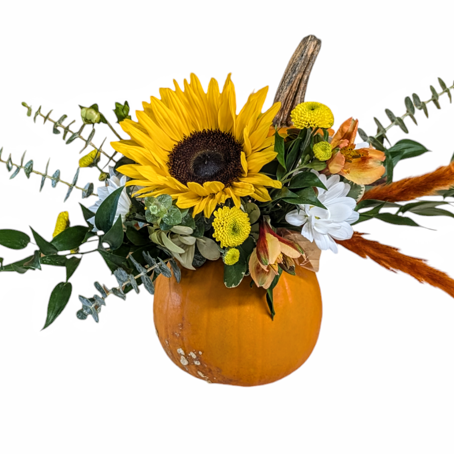 Thankful Harvest