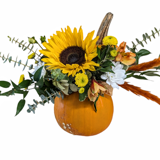 Thankful Harvest