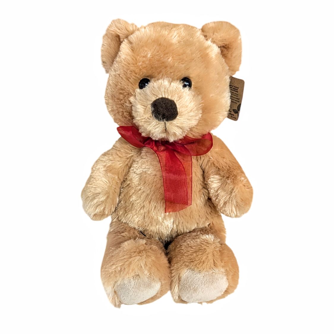 Aurora Tan Bear
