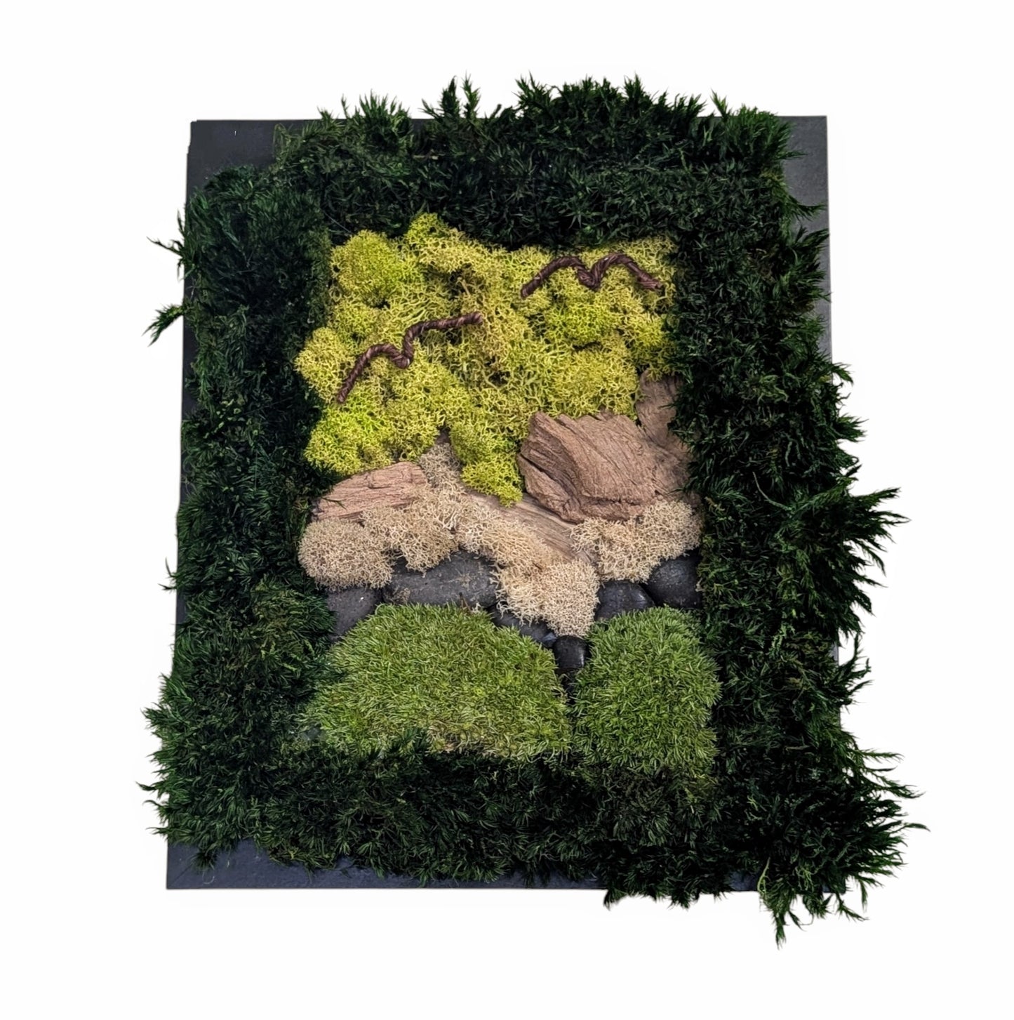 Living Moss Art