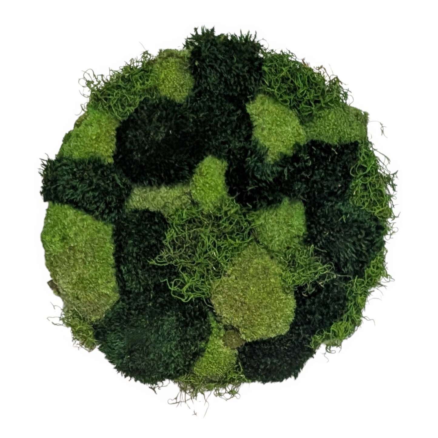 Living Moss Art