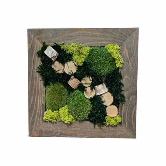 Living Moss Art