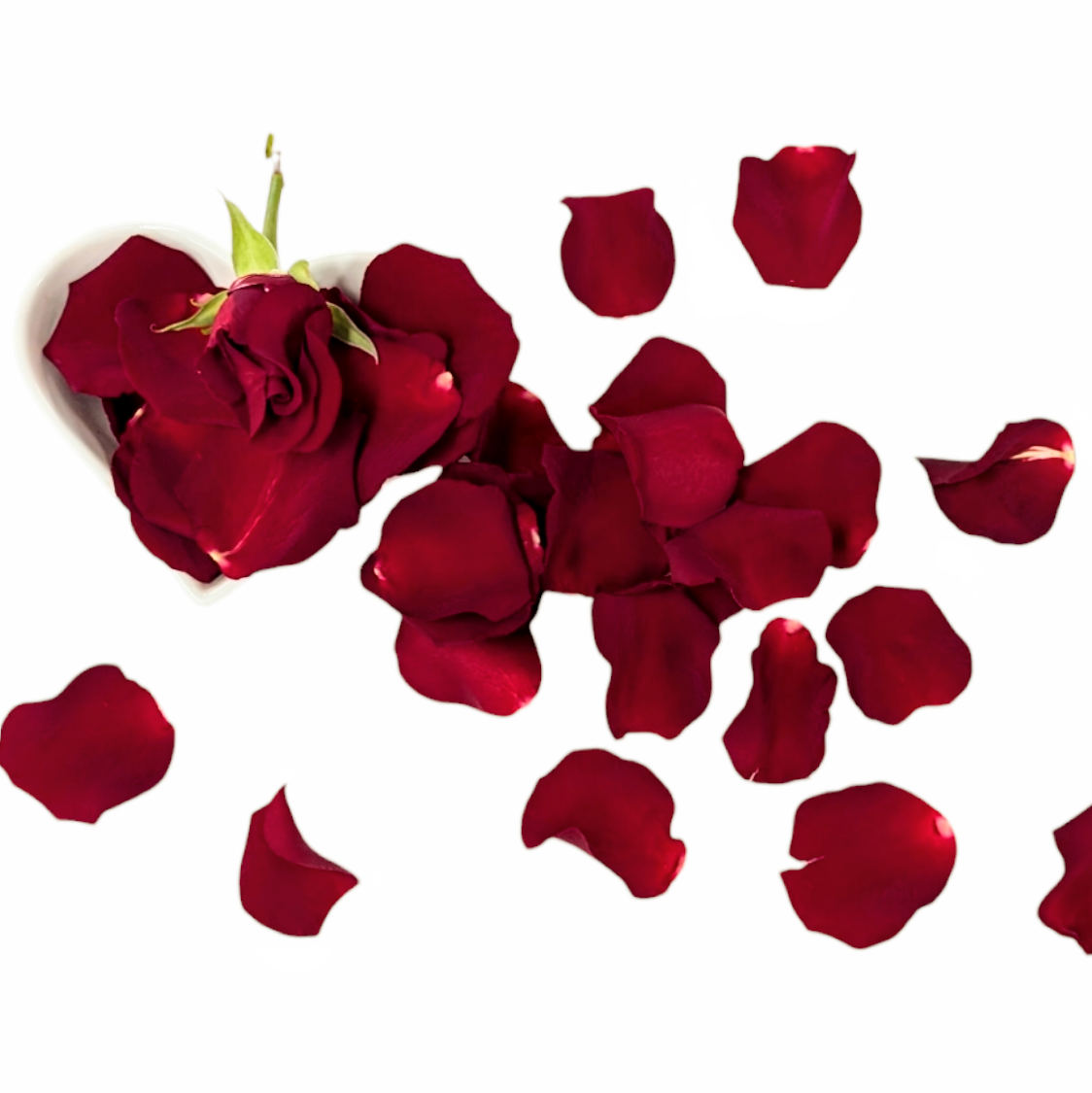 Red Rose Petals