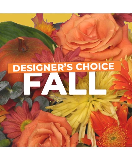Fall Designer's Choice
