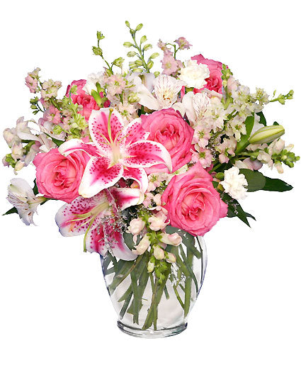 PINK AND WHITE DREAMS
