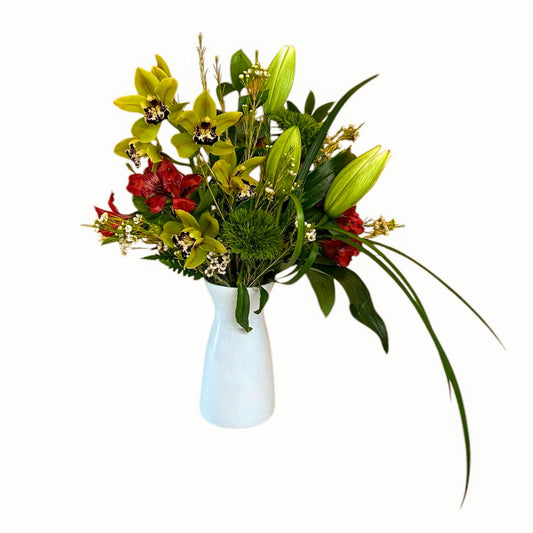 Orchid Elegance