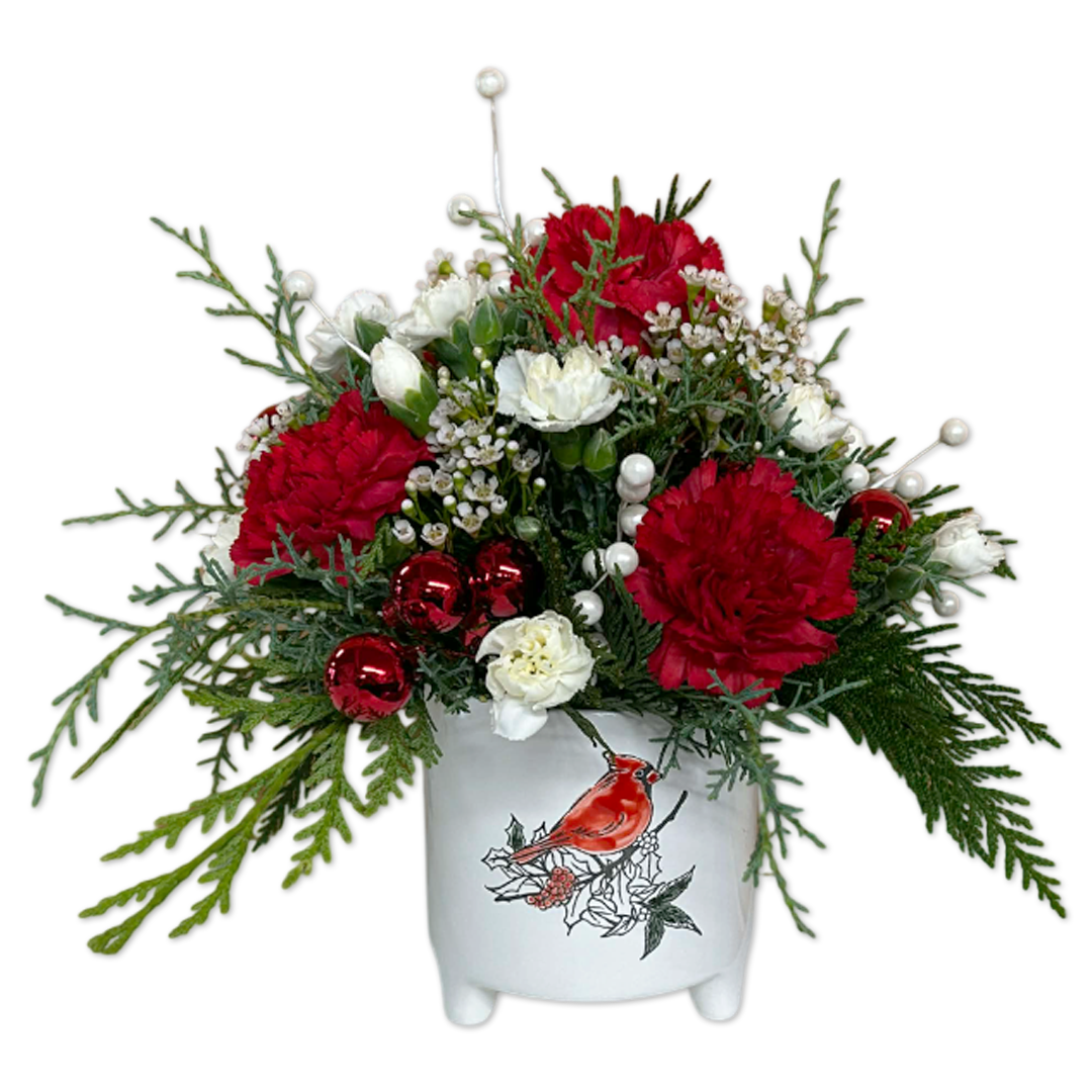 Cardinal Christmas